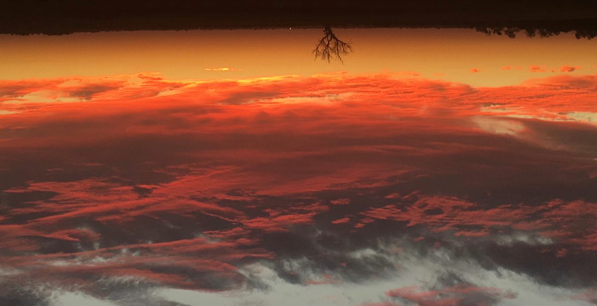 Information about my Upside&nbsp;Down