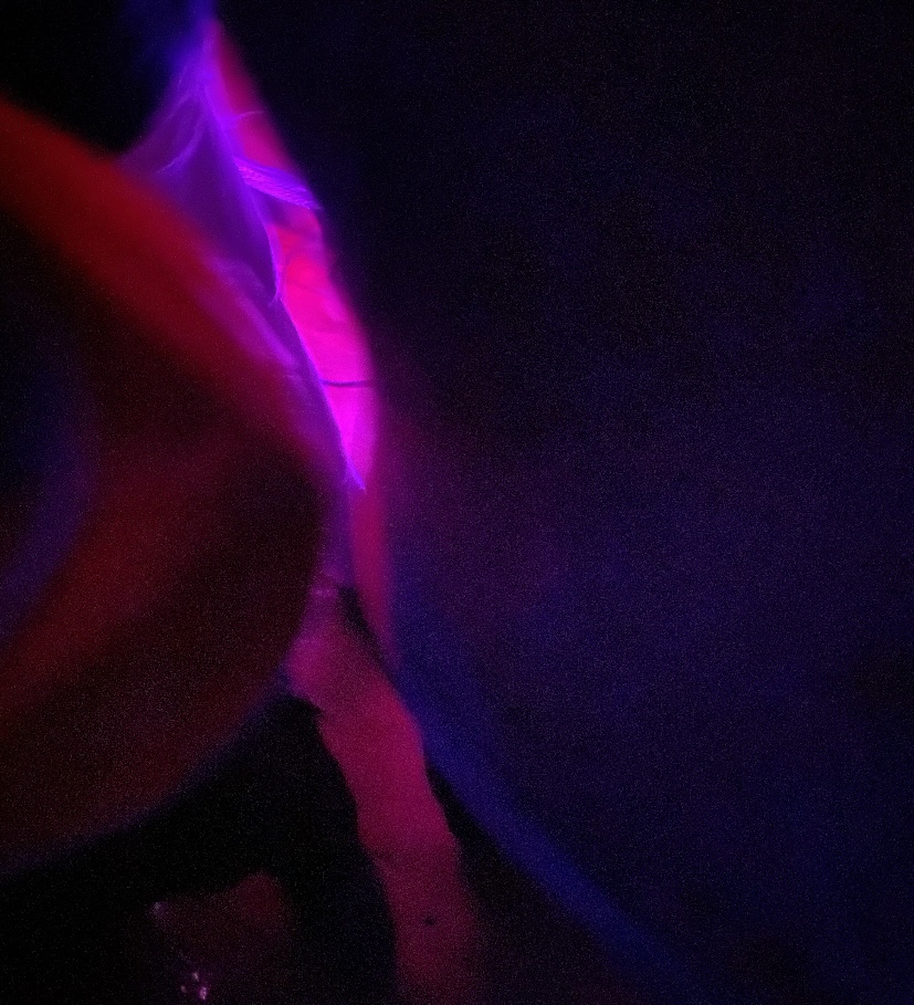 Who’s the Goose&nbsp;now